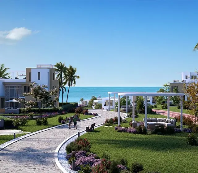 Big_Img_DT_S2_640x560_6fed8ee41b